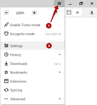 Settings Yandex Browser