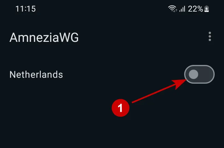 Connect to AmneziaWG VPN on Android