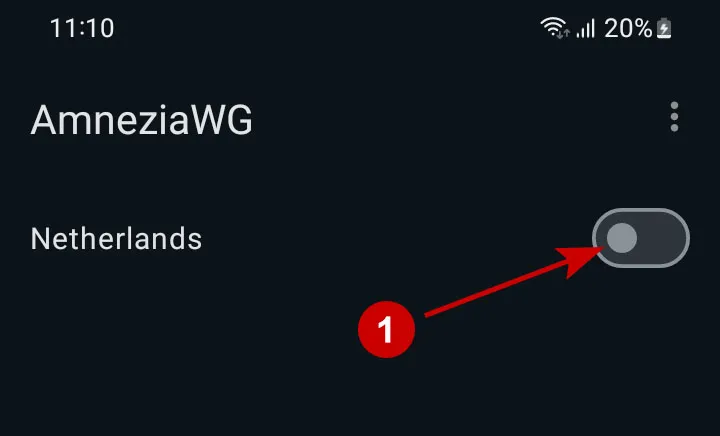 Подключитесь к AmneziaWG на Android
