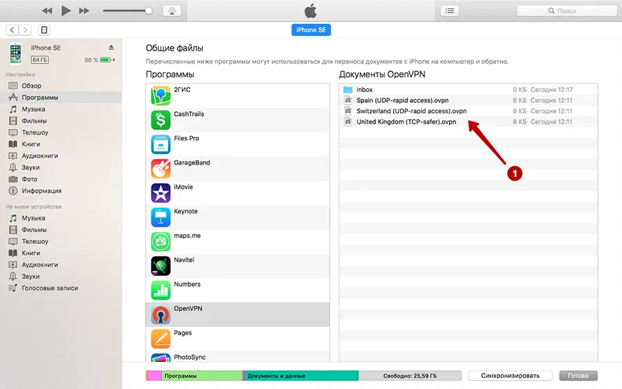 Список OpenVPN соединений на iOS