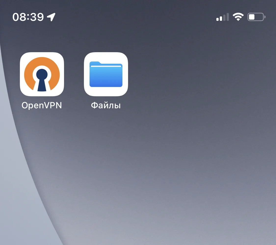 OpenVPN Connect и Файлы на iOS 15