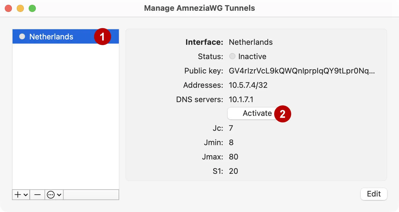 Connect to AmnesiaWG on macOS